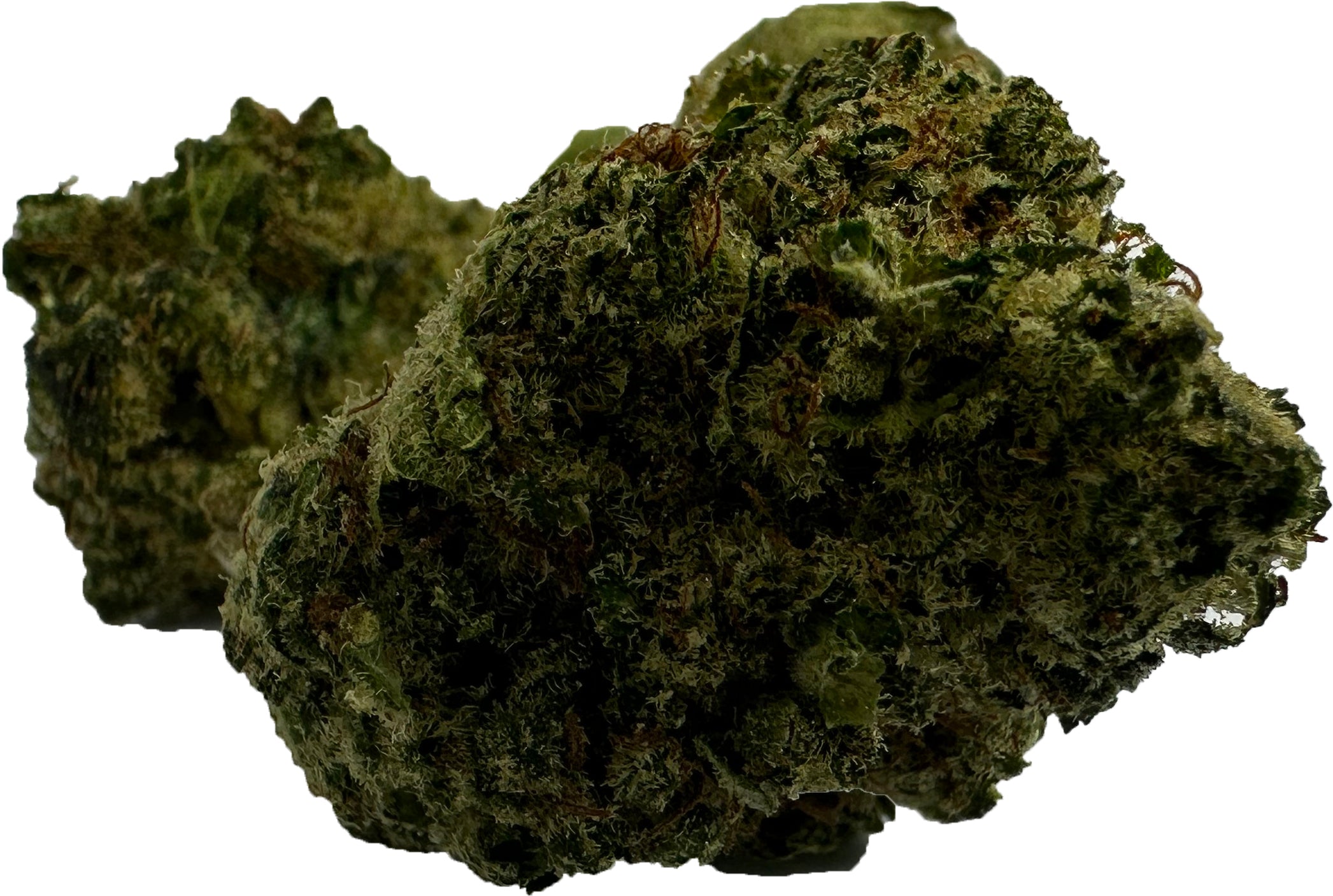 SuperHamp Bubblegum 60%