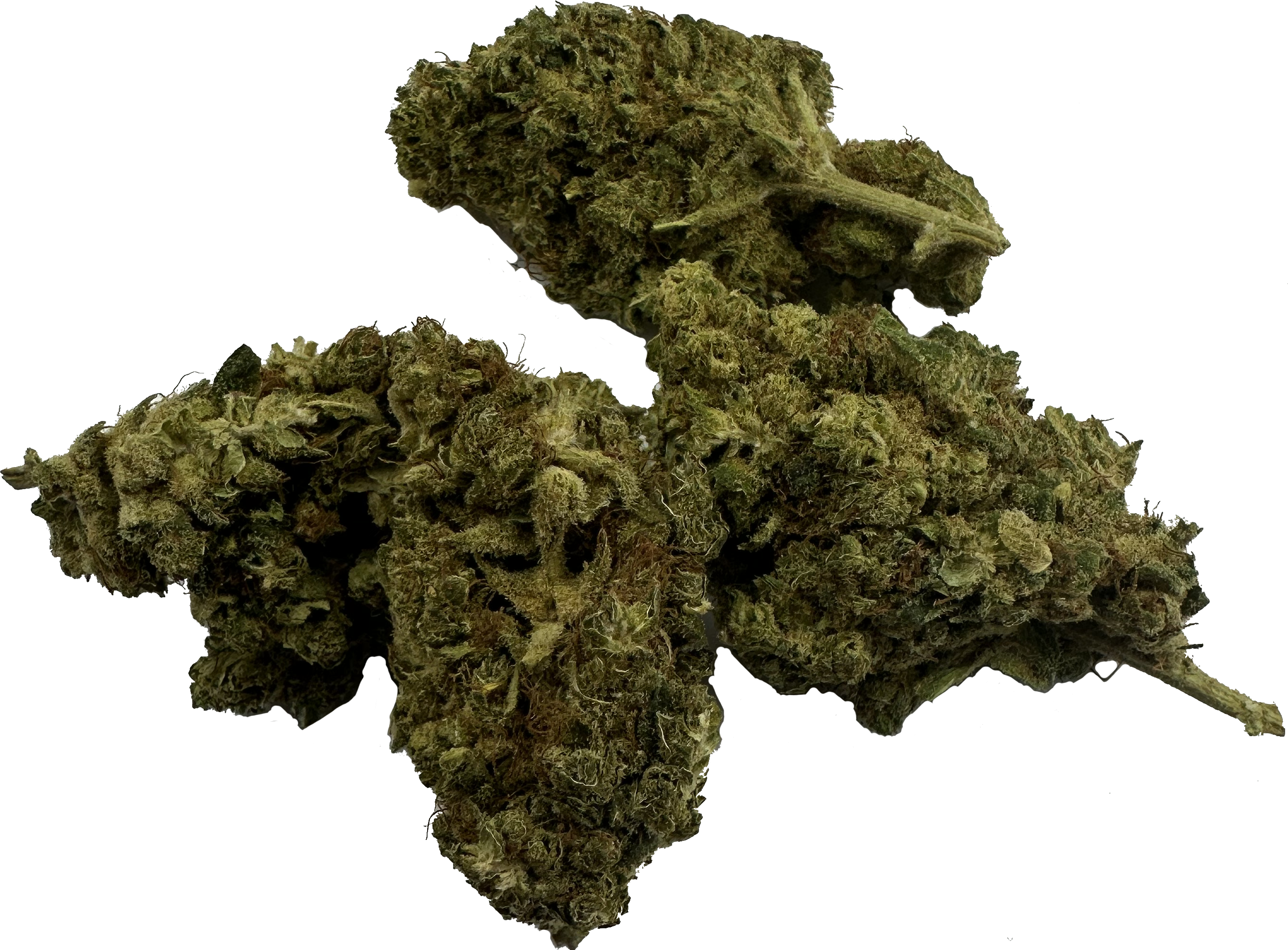 UltraHamp THC-P Bubblegum