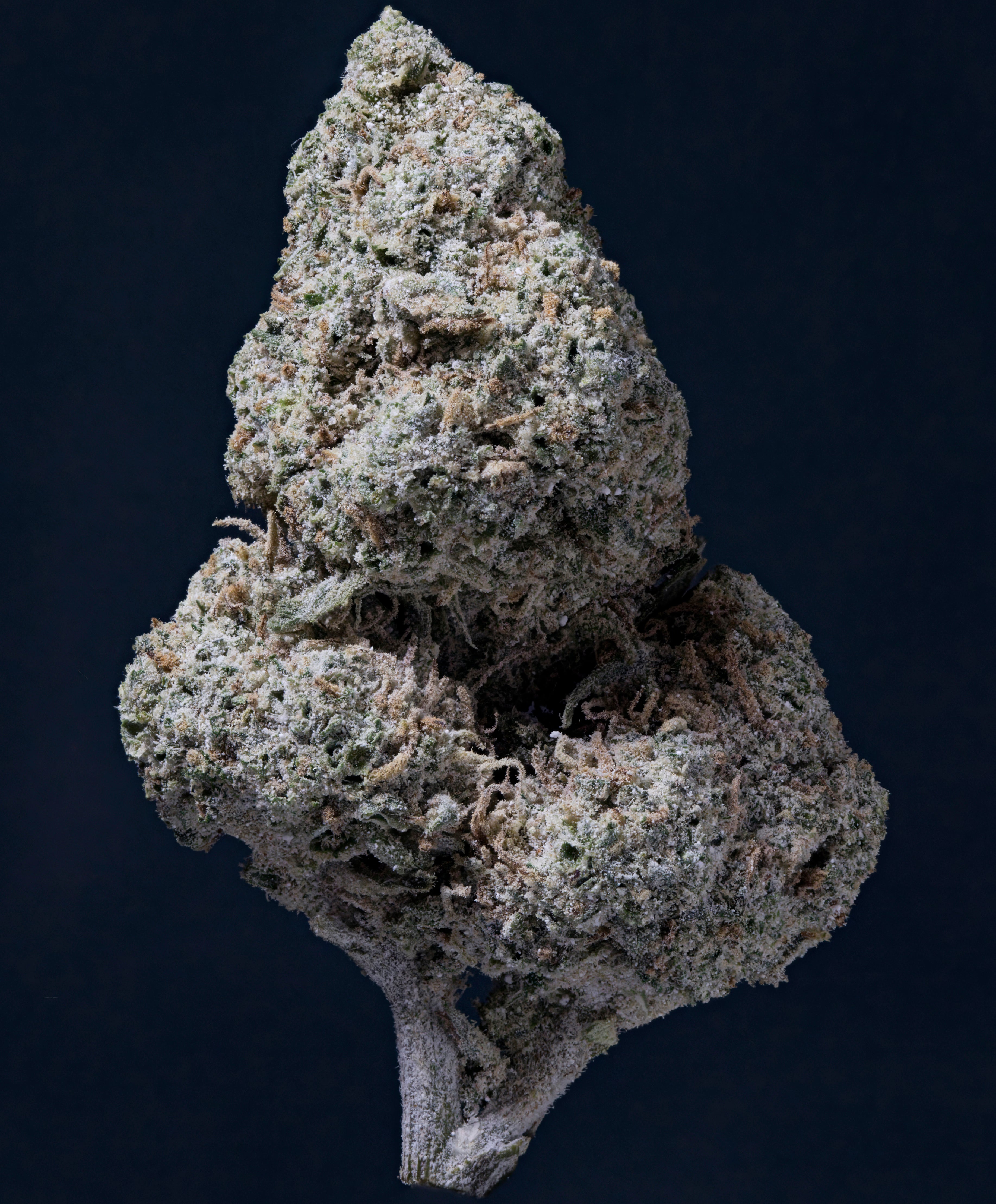 SuperHamp THC-A Lemon Haze 33%