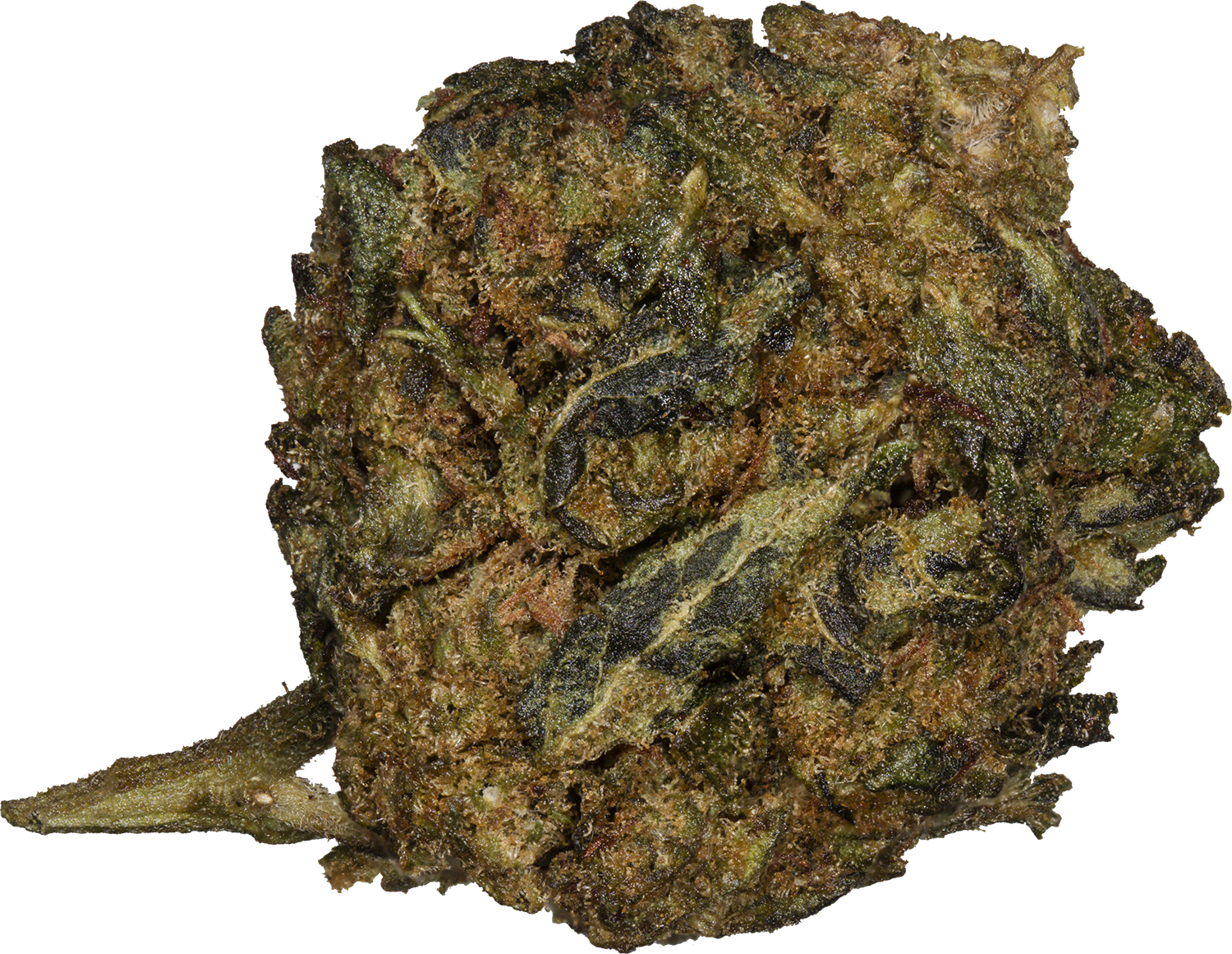 SuperHamp | Gorilla Glue CB9 | Hybrid 25%