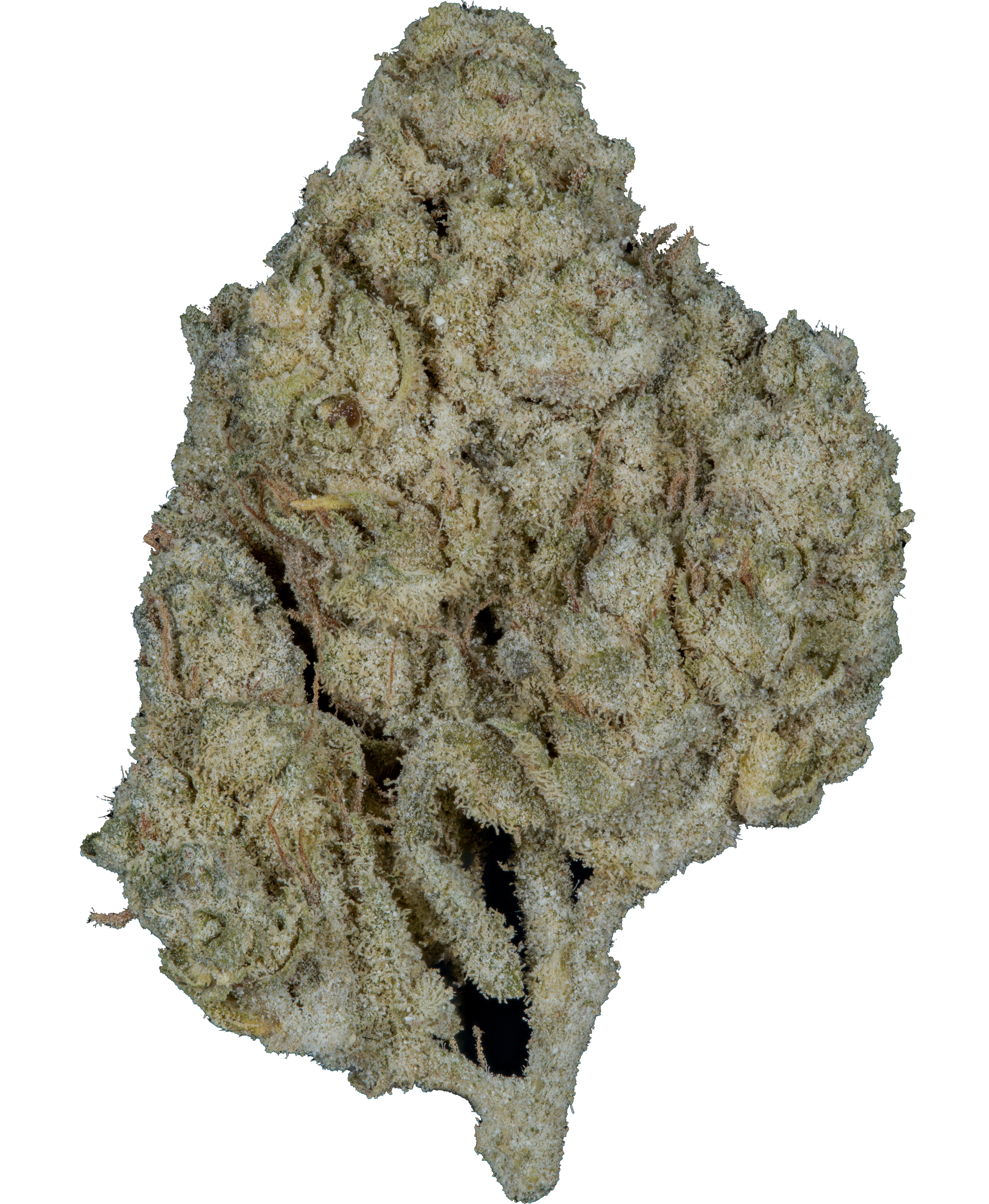 SuperHamp THC-A Lemon Haze 33%