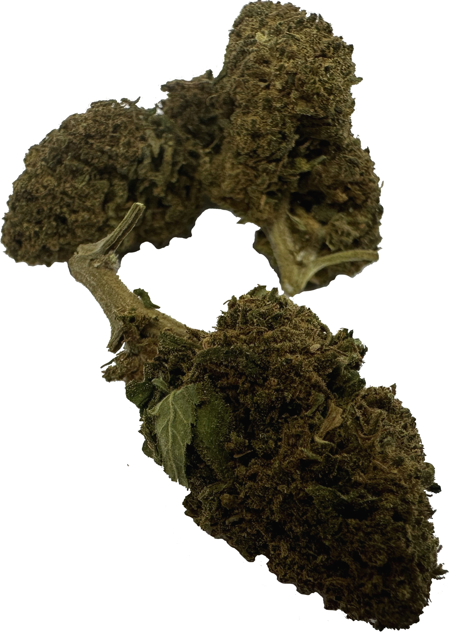 Mango CBD