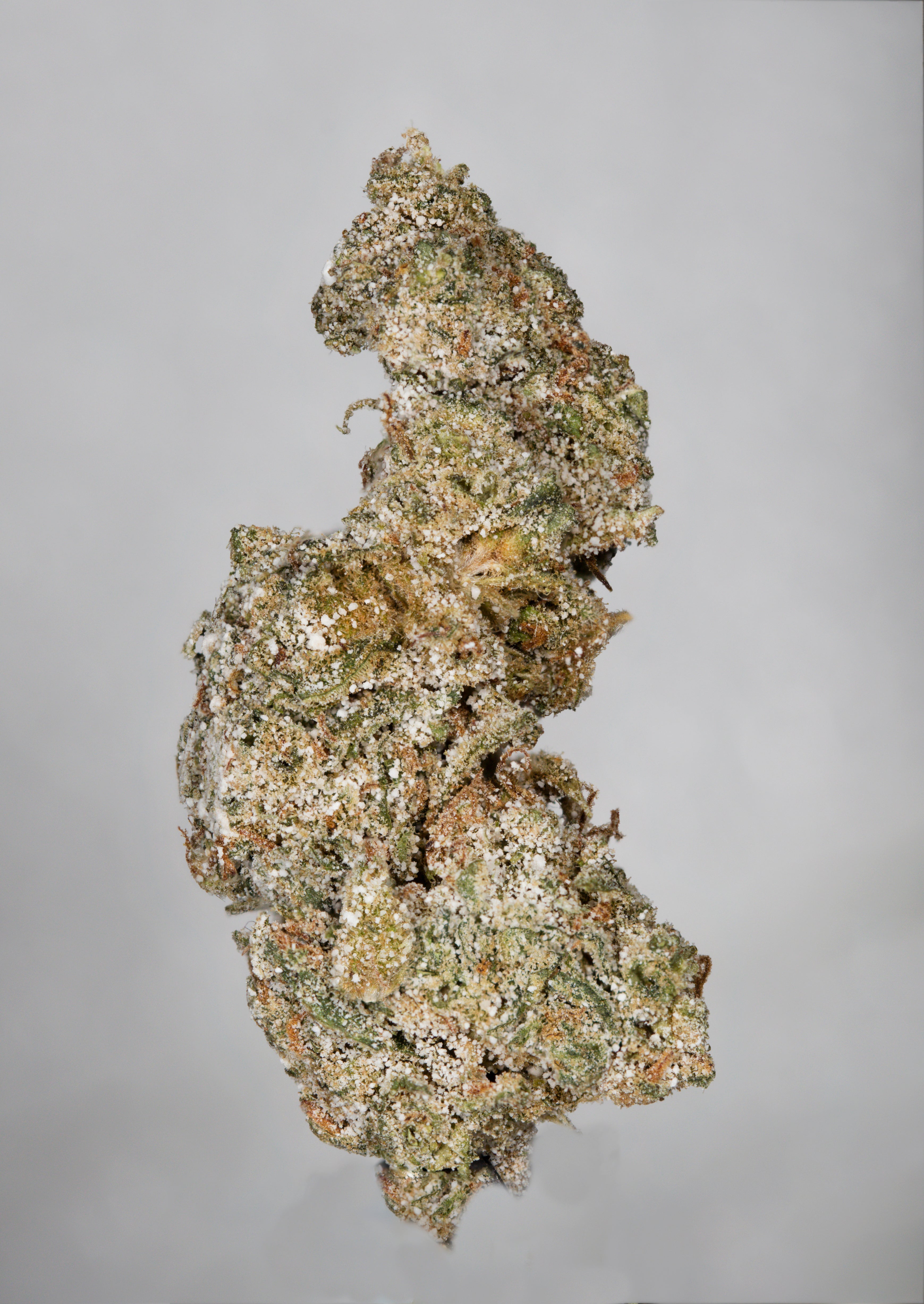 SuperHamp THC-A Amnesia 33%