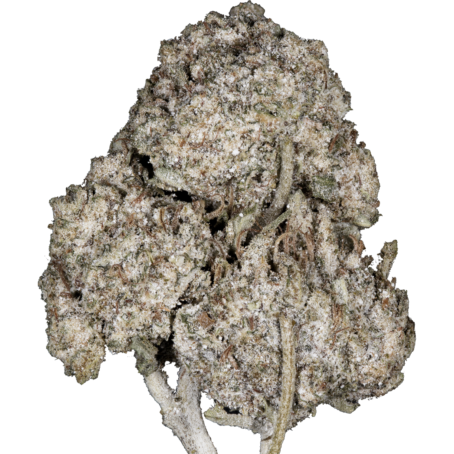 SuperHamp THC-A O.G Kush 30%