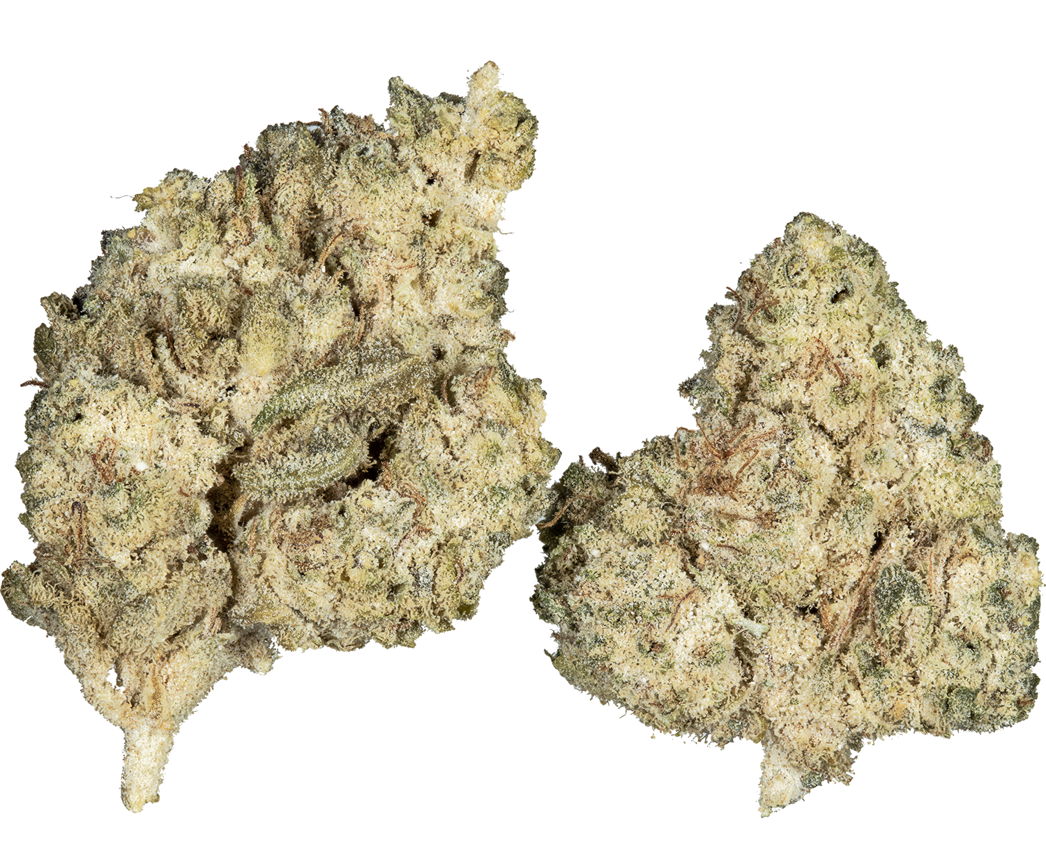 SuperHamp THC-A Amnesia 33%