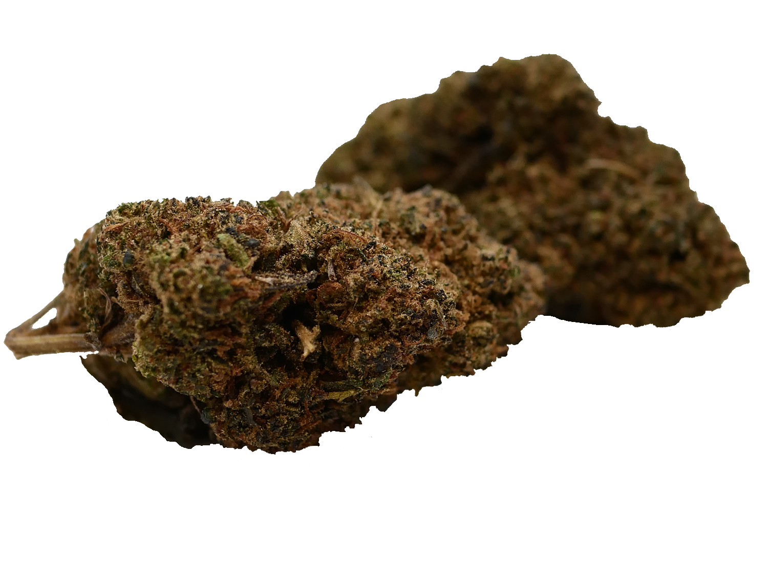 SuperHamp Extreme Zkittlez CB9 | INDICA