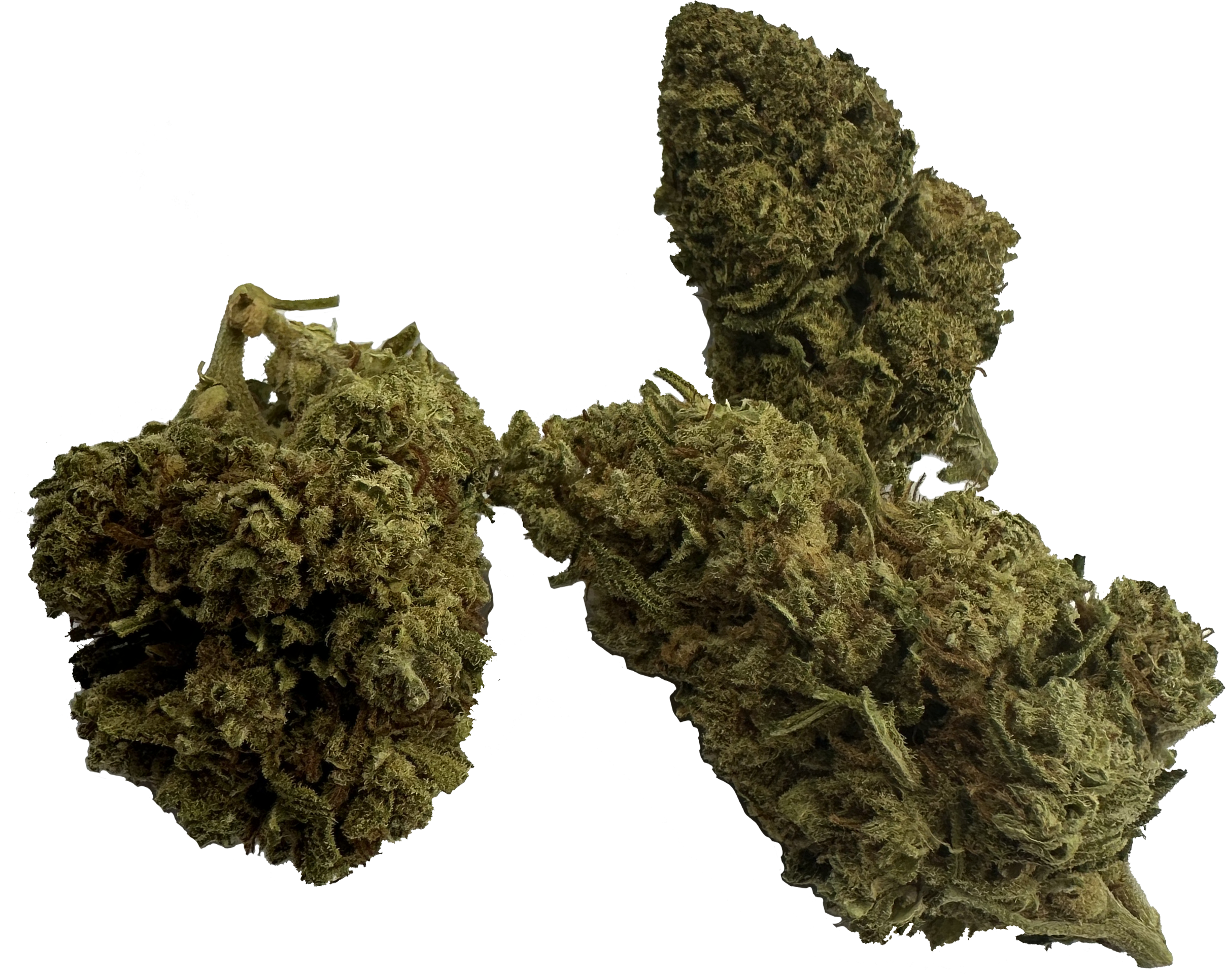 UltraHamp THC-P Mac V2