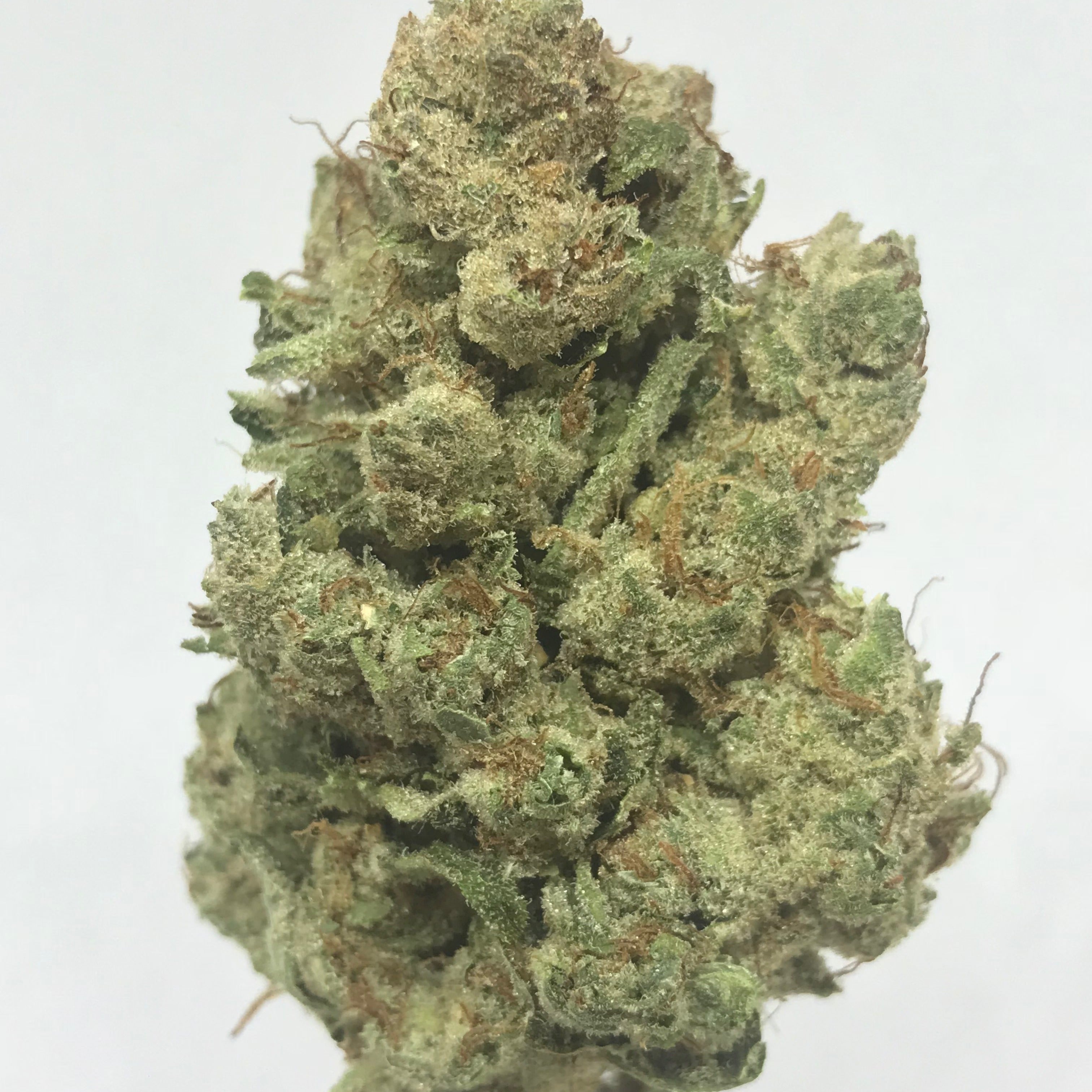 Banana kush 15 % CBD