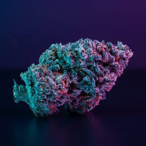 Hvad er CBD? Den komplette guide til begyndere