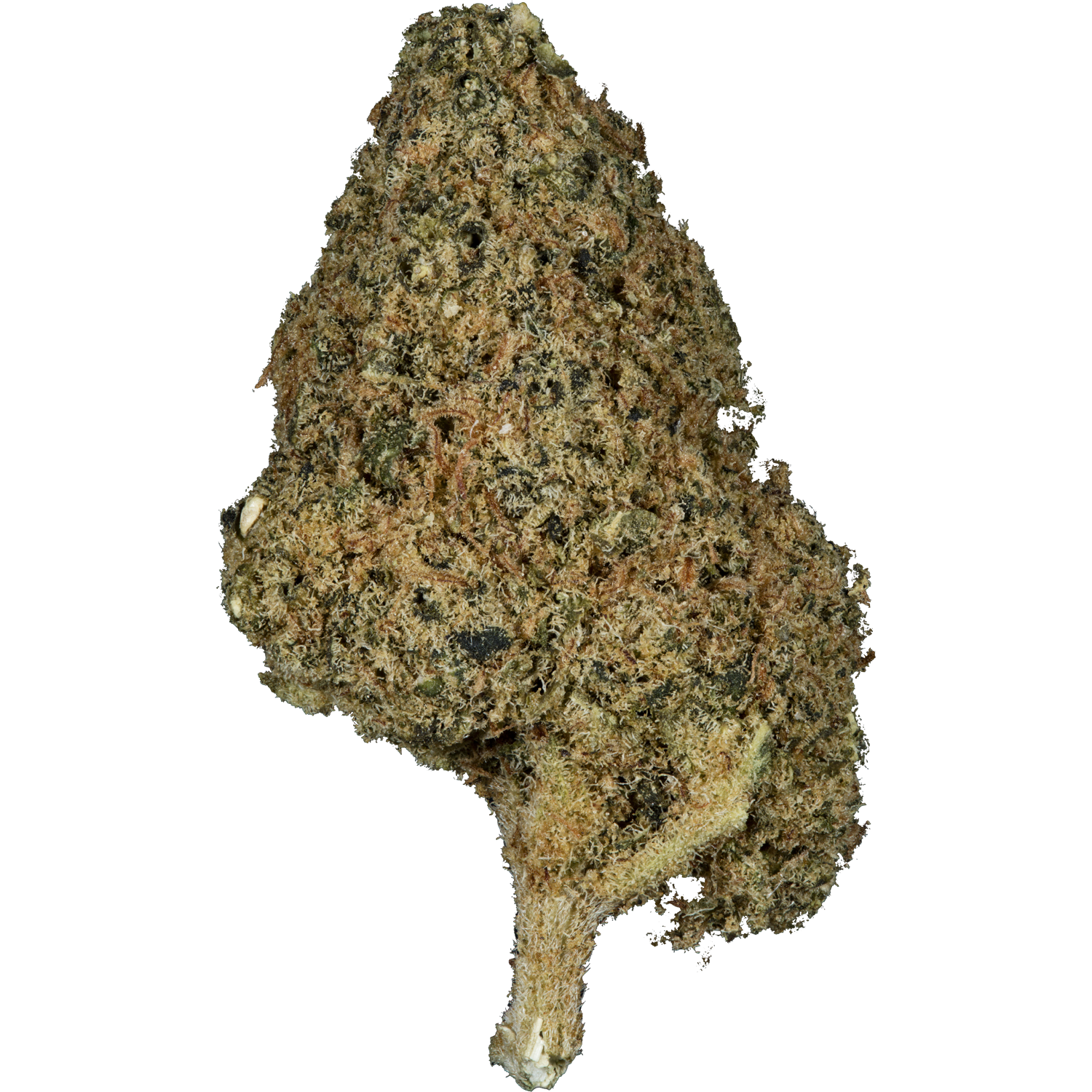 Blueberry Haze