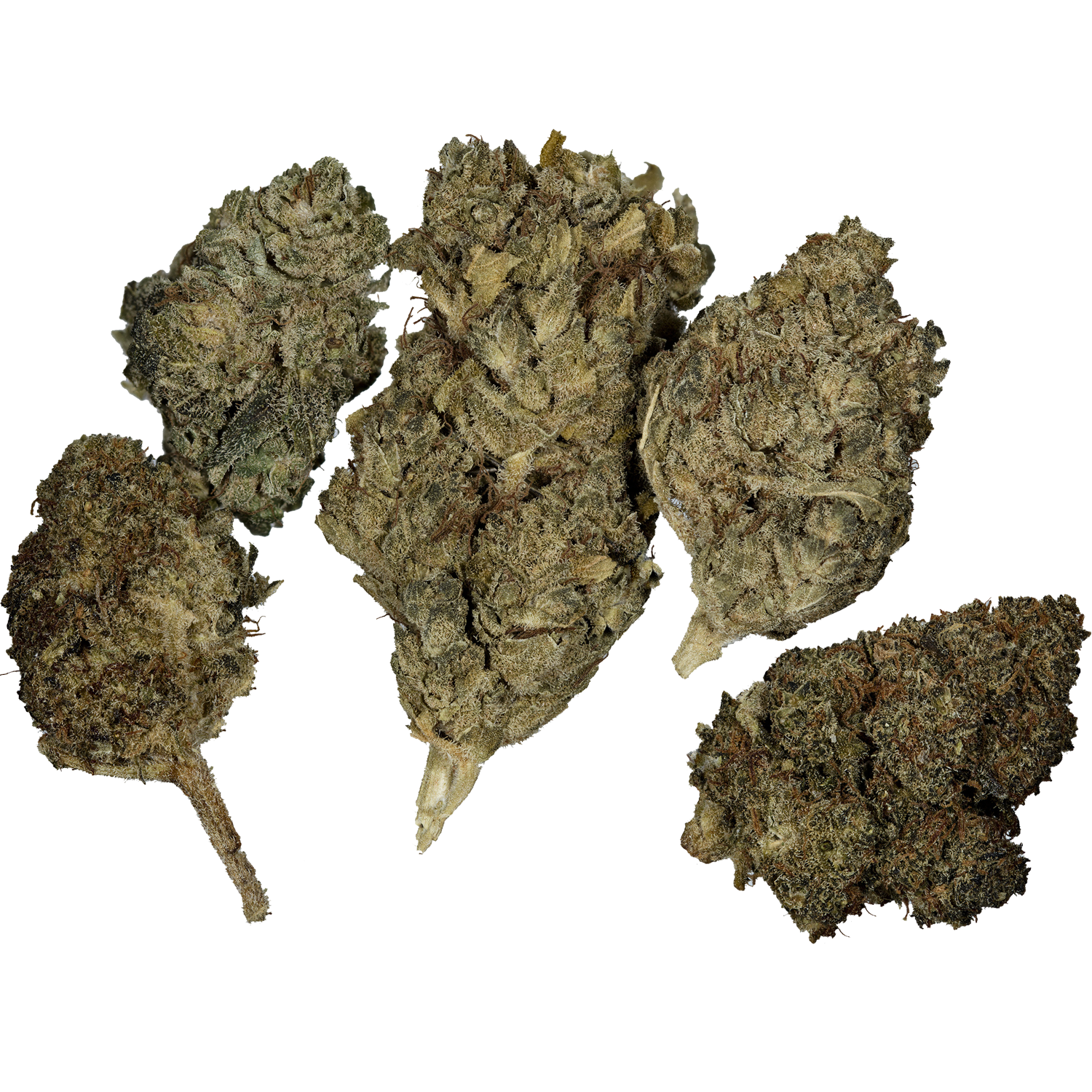Flower Mix