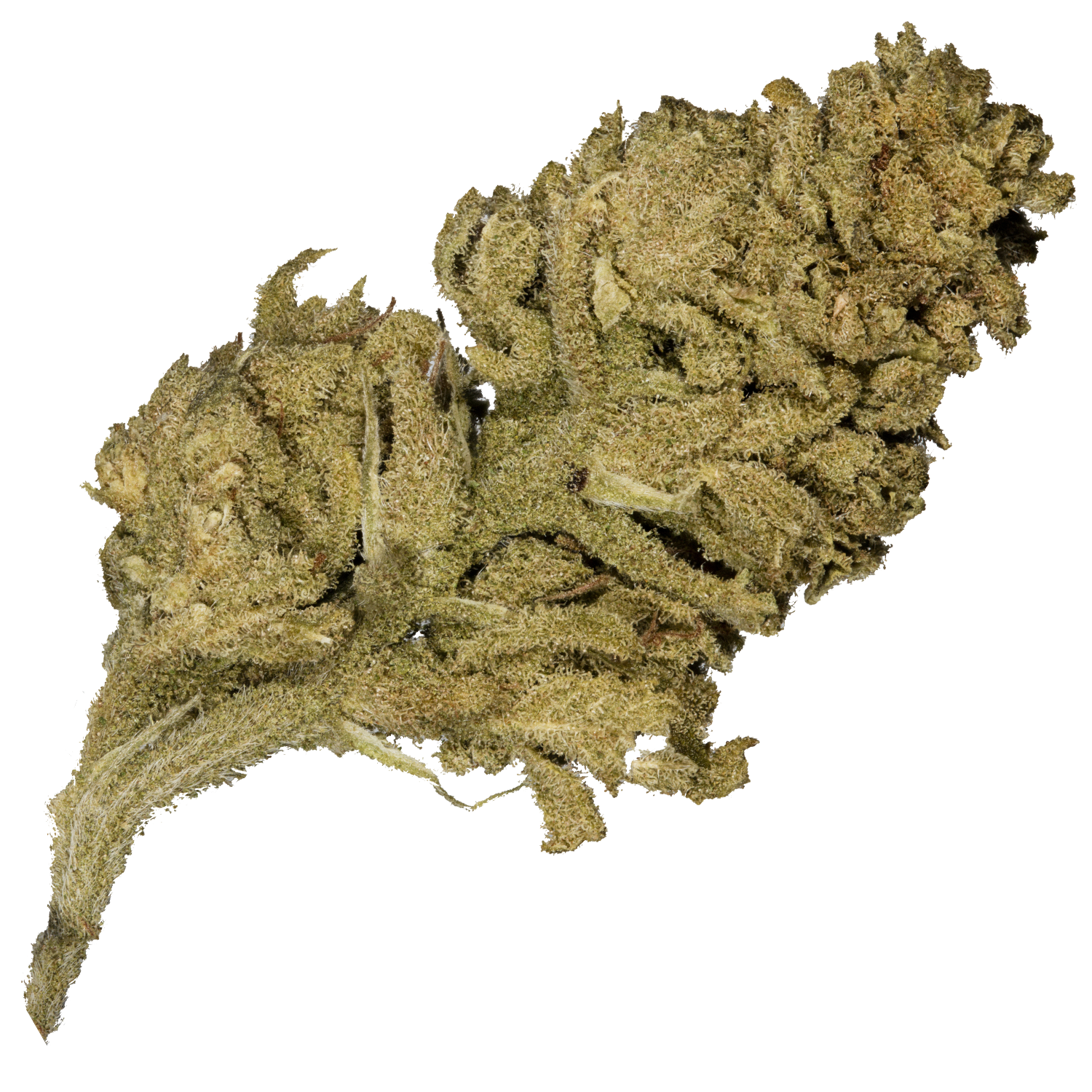 Lemon Kush
